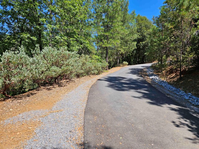 2.53ACRES Waterman Rd, Lakehead, CA 96051 - photo 7