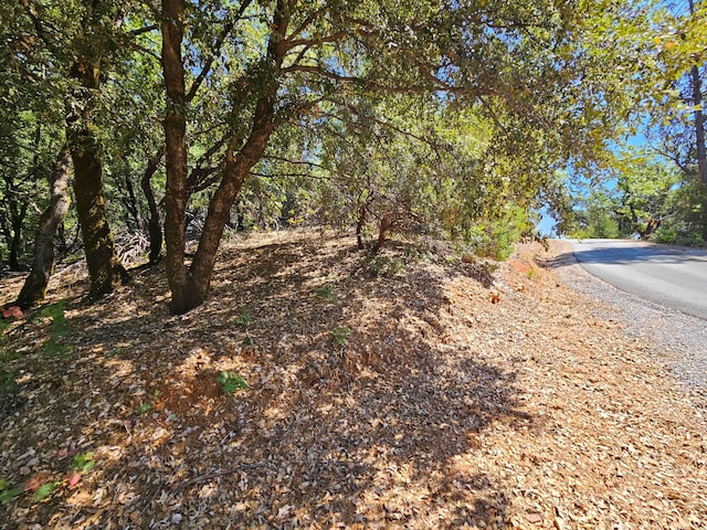 2.53ACRES Waterman Rd, Lakehead, CA 96051 - photo 2