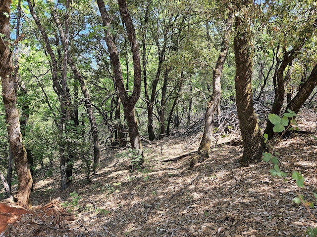 2.53ACRES Waterman Rd, Lakehead, CA 96051 - photo 3