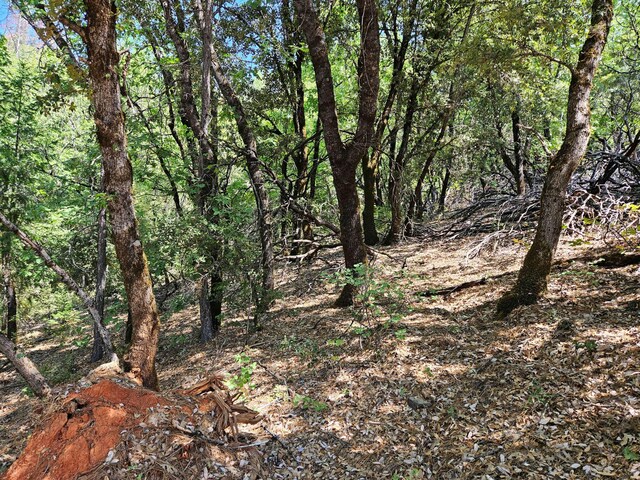 2.53ACRES Waterman Rd, Lakehead, CA 96051 - photo 9