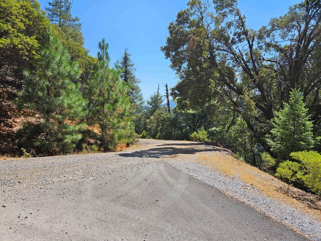 2.53ACRES Waterman Rd, Lakehead, CA 96051 - photo 11