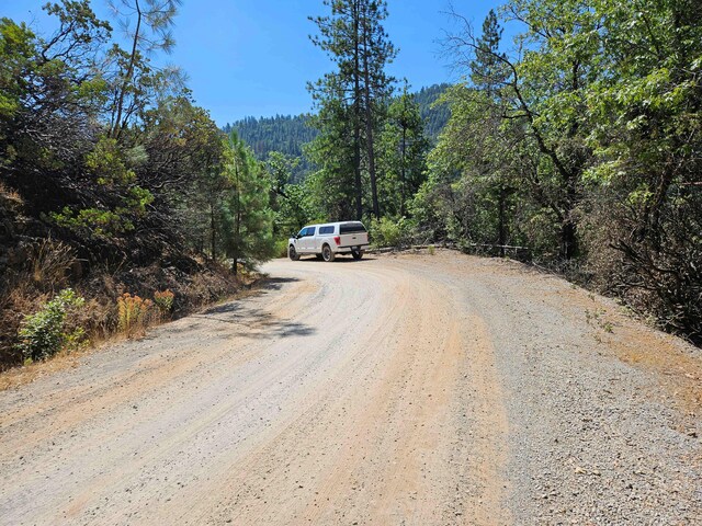 2.53ACRES Waterman Rd, Lakehead, CA 96051 - photo 12