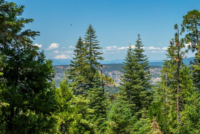 7256 Shasta Forest Dr, Shingletown, CA 96088 - view of mountain backdrop featuring a forest