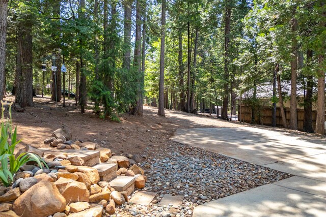 7256 Shasta Forest Dr, Shingletown, CA 96088 - view of yard