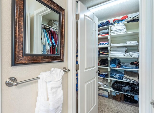7256 Shasta Forest Dr, Shingletown, CA 96088 - spacious closet with carpet