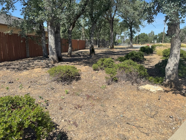 1407 Fayette Ln, Redding, CA 96003 - view of yard