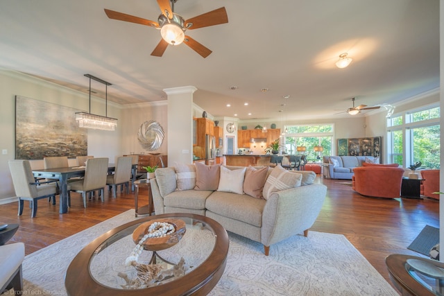3179 Pinot Path, Redding, CA 96001 - living room featuring a ceiling fan, crown molding, plenty of natural light, and dark wood finished floors