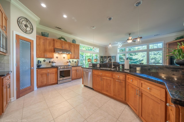 3179 Pinot Path, Redding, CA 96001 - kitchen featuring appliances with stainless steel finishes, ornamental molding, under cabinet range hood, a sink, and decorative backsplash