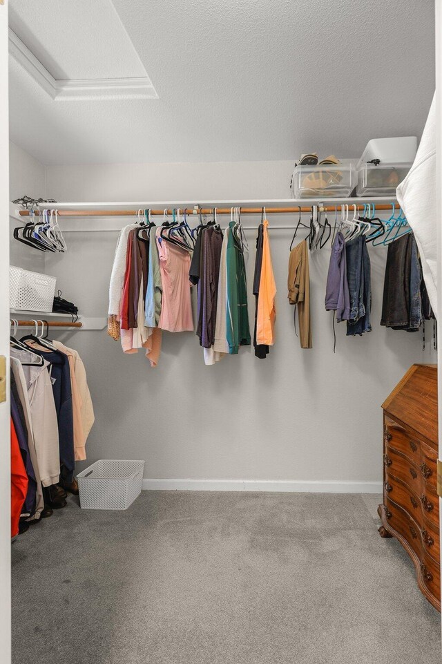 21247 Creekside Dr, Red Bluff, CA 96080 - spacious closet with carpet