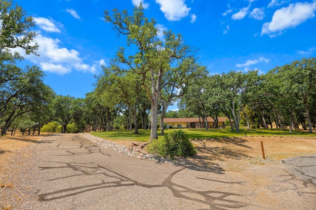 21247 Creekside Dr, Red Bluff, CA 96080 - view of street with view of wooded area