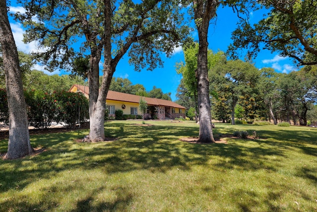 21247 Creekside Dr, Red Bluff, CA 96080 - view of green lawn