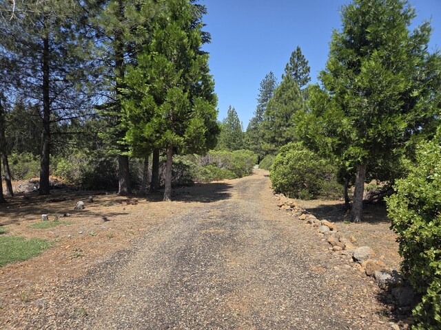 32711 Twin Pine Dr, Shingletown, CA 96088 - photo 40