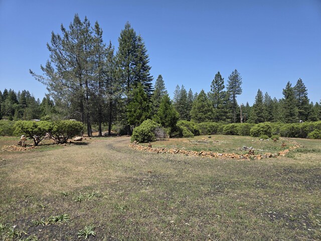32711 Twin Pine Dr, Shingletown, CA 96088 - photo 43
