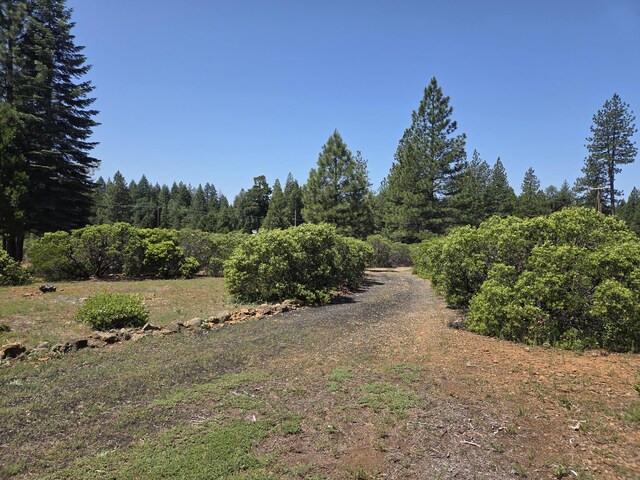 32711 Twin Pine Dr, Shingletown, CA 96088 - photo 42