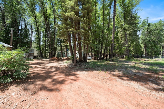 7530 Brett Rd, Shingletown, CA 96088 - view of dirt / gravel driveway
