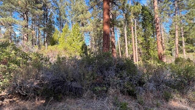 Circle Dr, Old Station, CA 96071 - photo 2