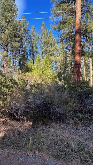 Circle Dr, Old Station, CA 96071 - photo 3