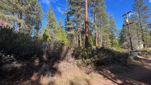 Circle Dr, Old Station, CA 96071 - photo 1
