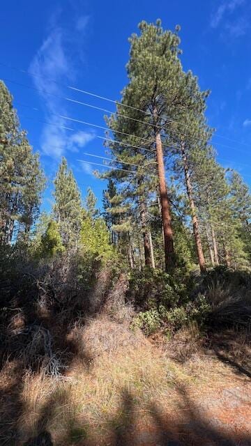 Circle Dr, Old Station, CA 96071 - photo 5