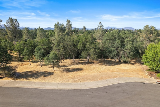 866 Blackstone Ct, Redding, CA 96003 - photo 1