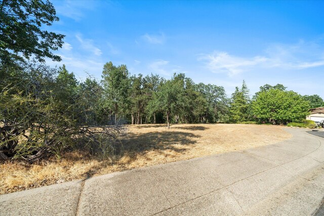 866 Blackstone Ct, Redding, CA 96003 - photo 4