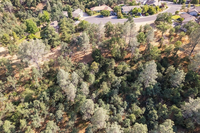 866 Blackstone Ct, Redding, CA 96003 - photo 9