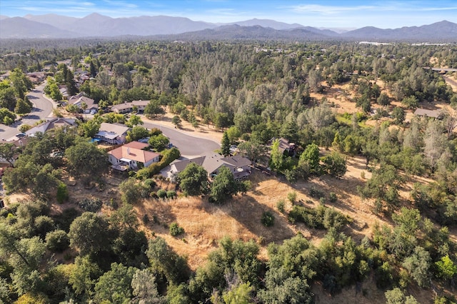 866 Blackstone Ct, Redding, CA 96003 - photo 12