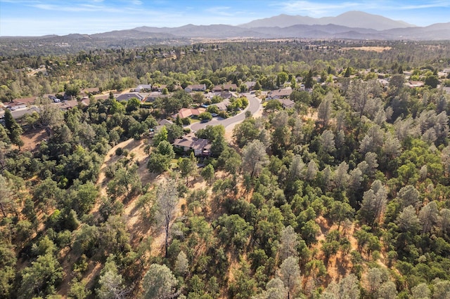 866 Blackstone Ct, Redding, CA 96003 - photo 13