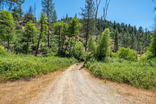 0000 E Fork Rd, French Gulch, CA 96033