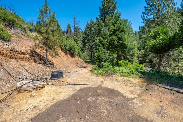 0000 E Fork Rd, French Gulch, CA 96033