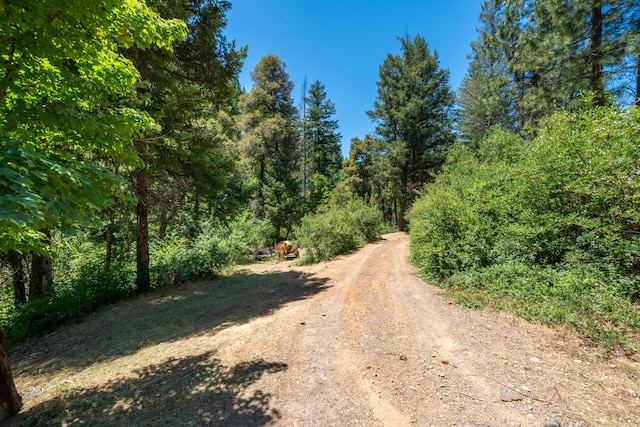 0000 E Fork Rd, French Gulch, CA 96033
