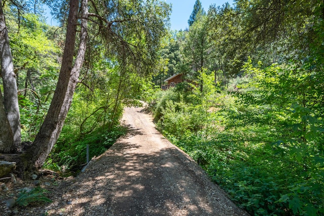 0000 E Fork Rd, French Gulch, CA 96033