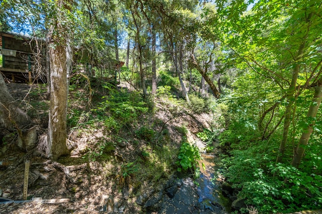 0000 E Fork Rd, French Gulch, CA 96033