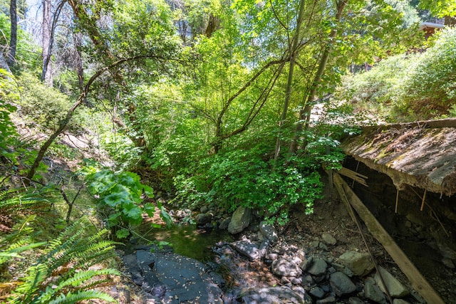 0000 E Fork Rd, French Gulch, CA 96033