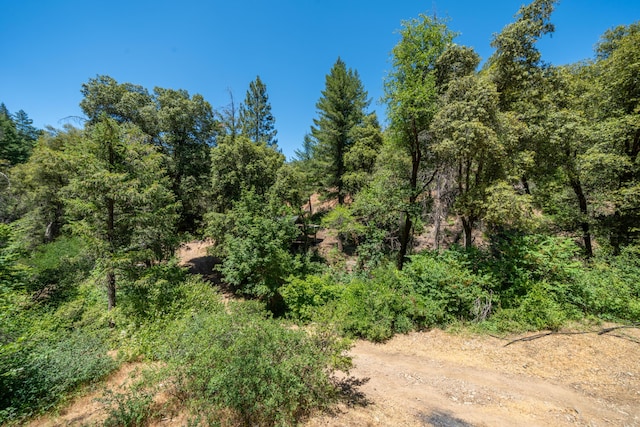 0000 E Fork Rd, French Gulch, CA 96033