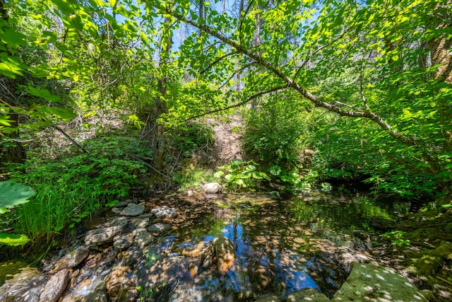 0000 E Fork Rd, French Gulch, CA 96033