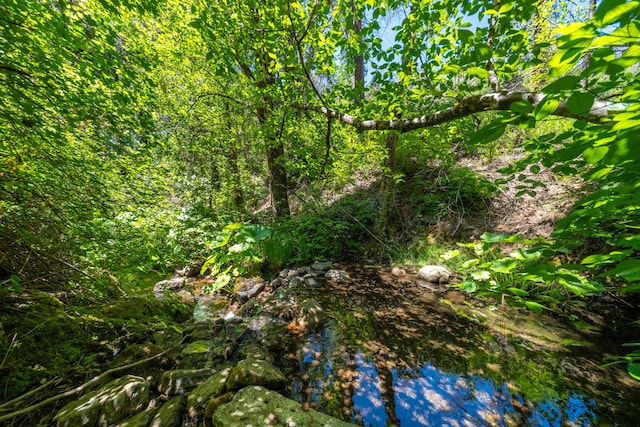 0000 E Fork Rd, French Gulch, CA 96033