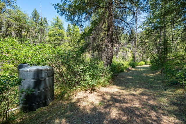 0000 E Fork Rd, French Gulch, CA 96033