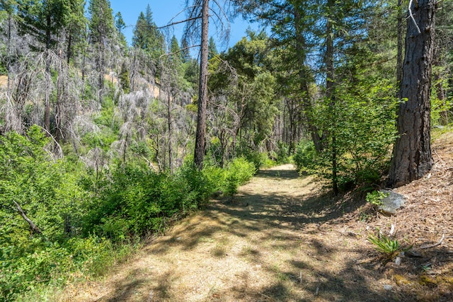 0000 E Fork Rd, French Gulch, CA 96033