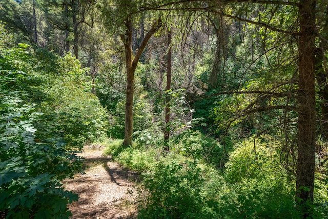 0000 E Fork Rd, French Gulch, CA 96033