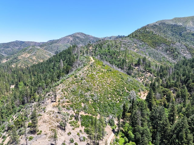 0000 E Fork Rd, French Gulch, CA 96033