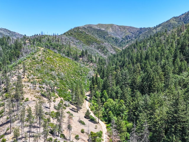 0000 E Fork Rd, French Gulch, CA 96033