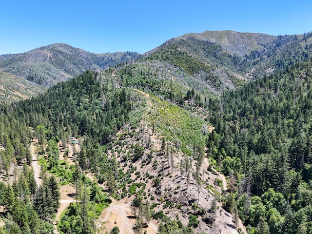 0000 E Fork Rd, French Gulch, CA 96033