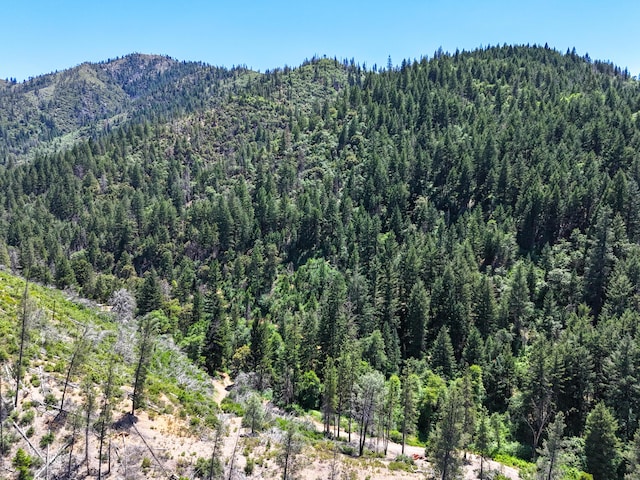 0000 E Fork Rd, French Gulch, CA 96033