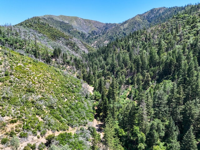 0000 E Fork Rd, French Gulch, CA 96033