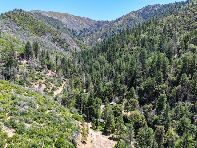 0000 E Fork Rd, French Gulch, CA 96033