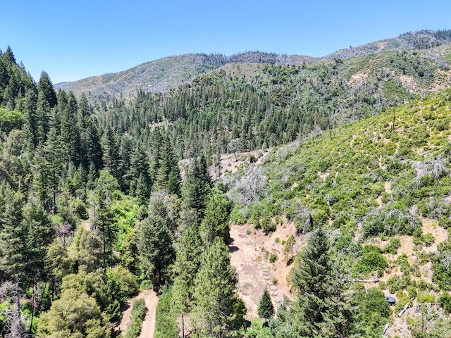 0000 E Fork Rd, French Gulch, CA 96033
