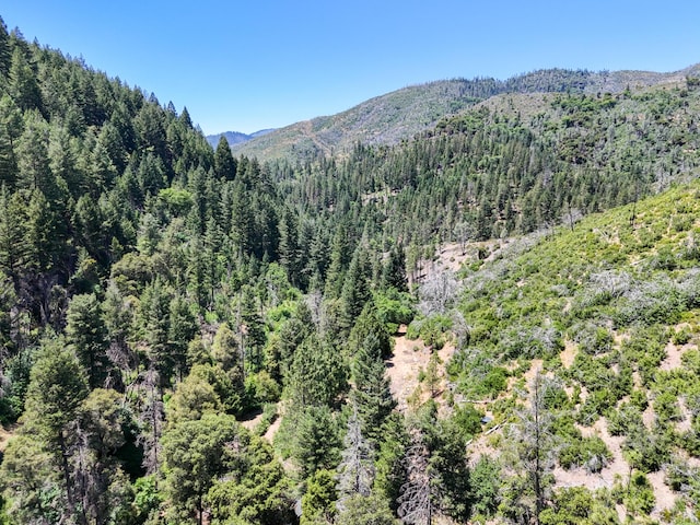 0000 E Fork Rd, French Gulch, CA 96033