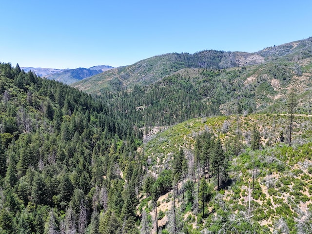 0000 E Fork Rd, French Gulch, CA 96033