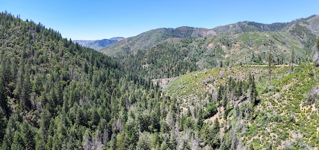 0000 E Fork Rd, French Gulch, CA 96033